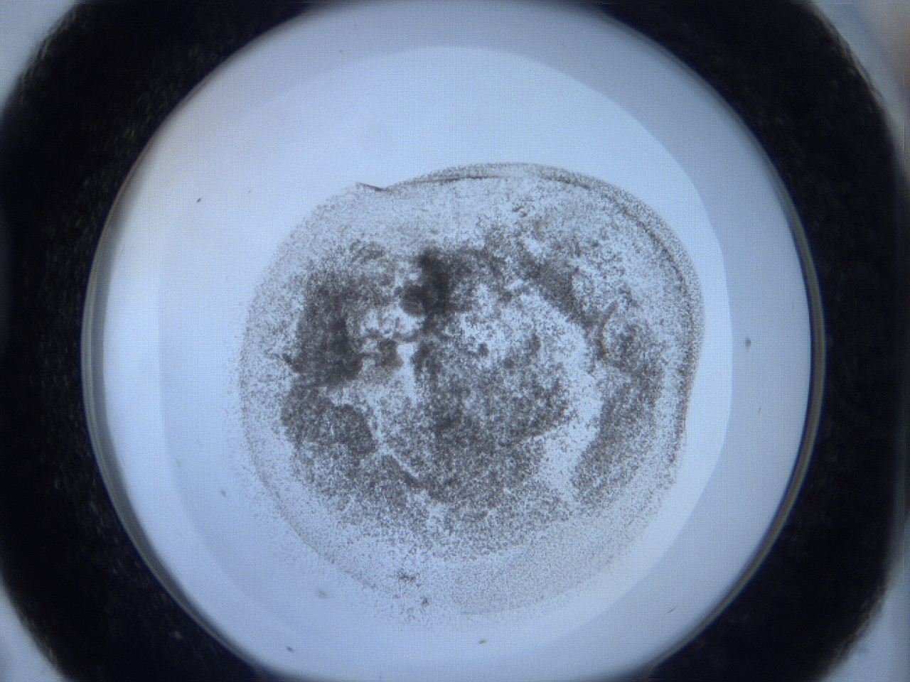 06c4_D7_ImagerDefaults_3.jpg