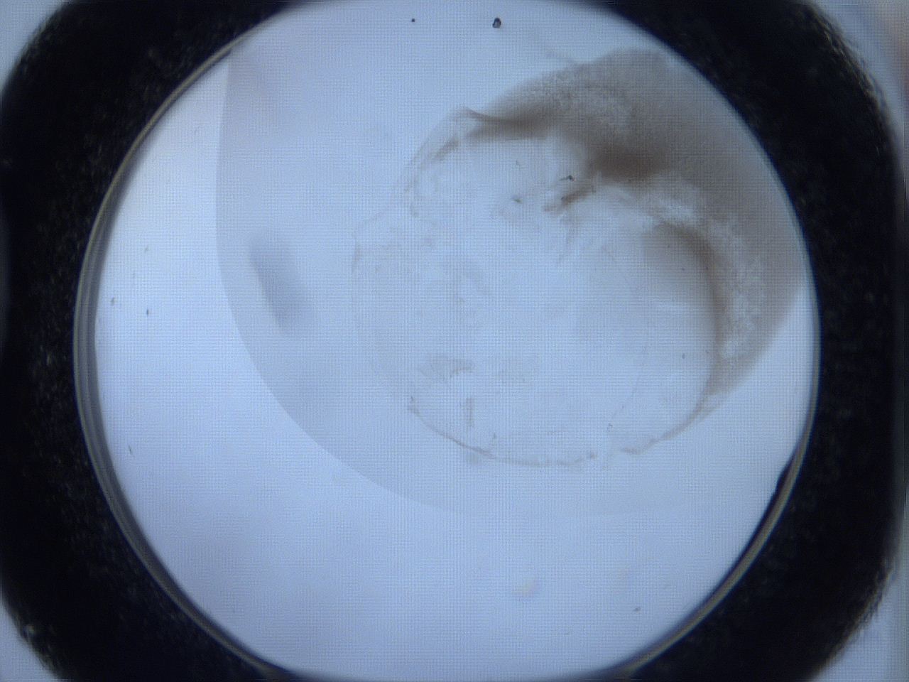 06c4_D9_ImagerDefaults_3.jpg