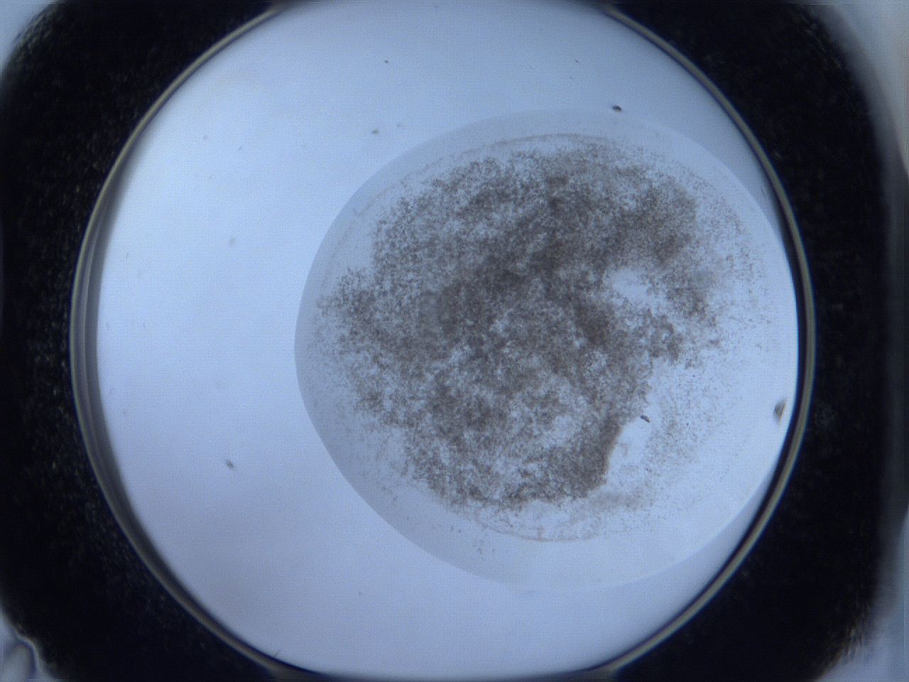 06c4_D11_ImagerDefaults_3.jpg