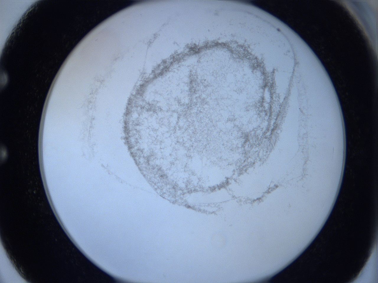 06c4_E2_ImagerDefaults_3.jpg