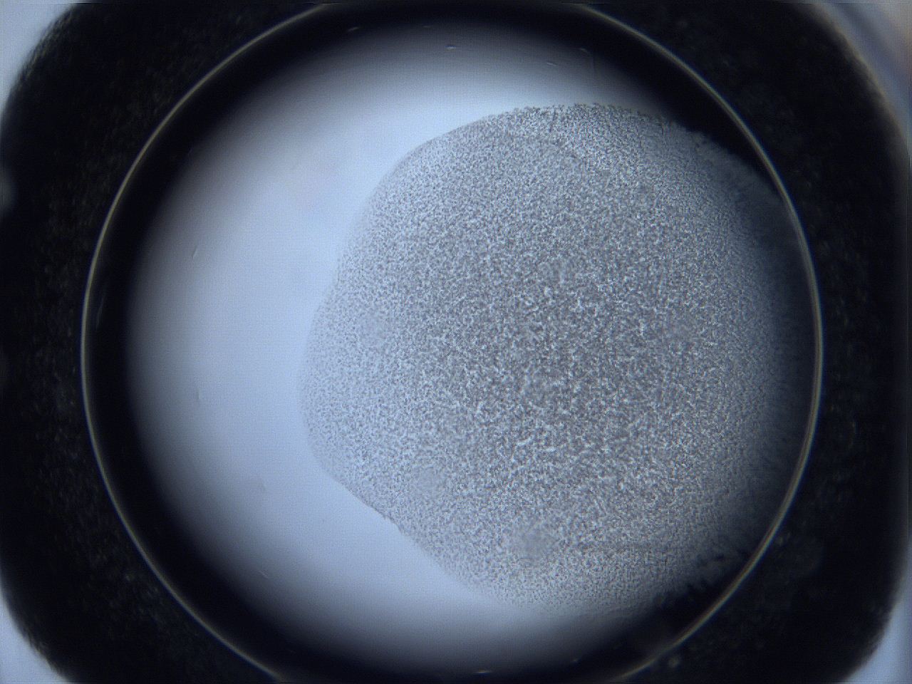 06c4_E4_ImagerDefaults_3.jpg