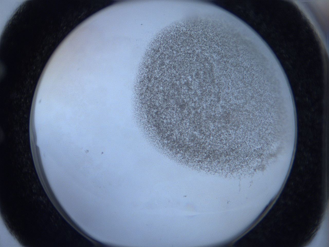 06c4_E5_ImagerDefaults_3.jpg