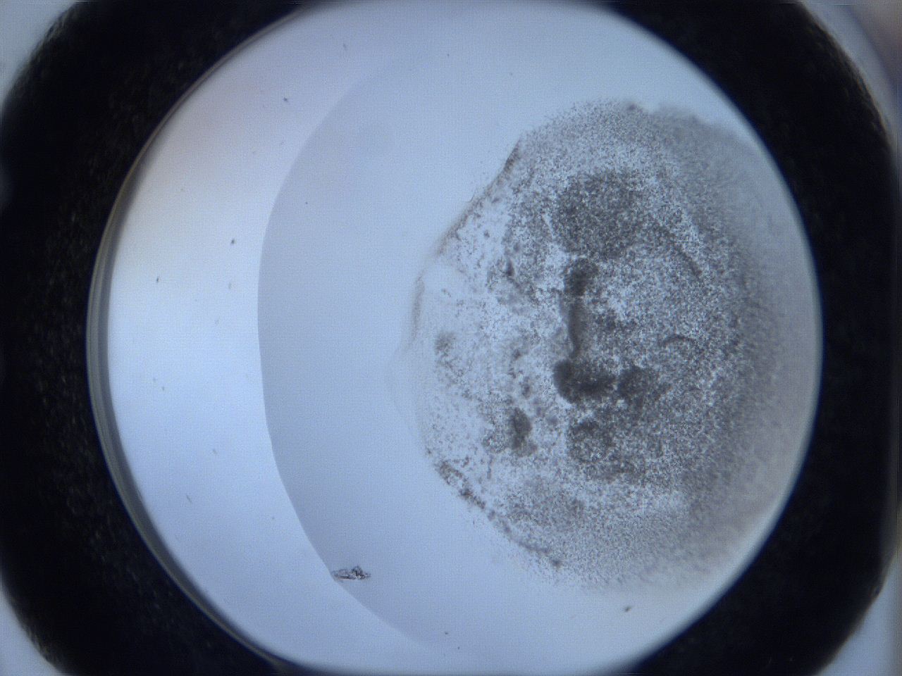 06c4_E7_ImagerDefaults_3.jpg