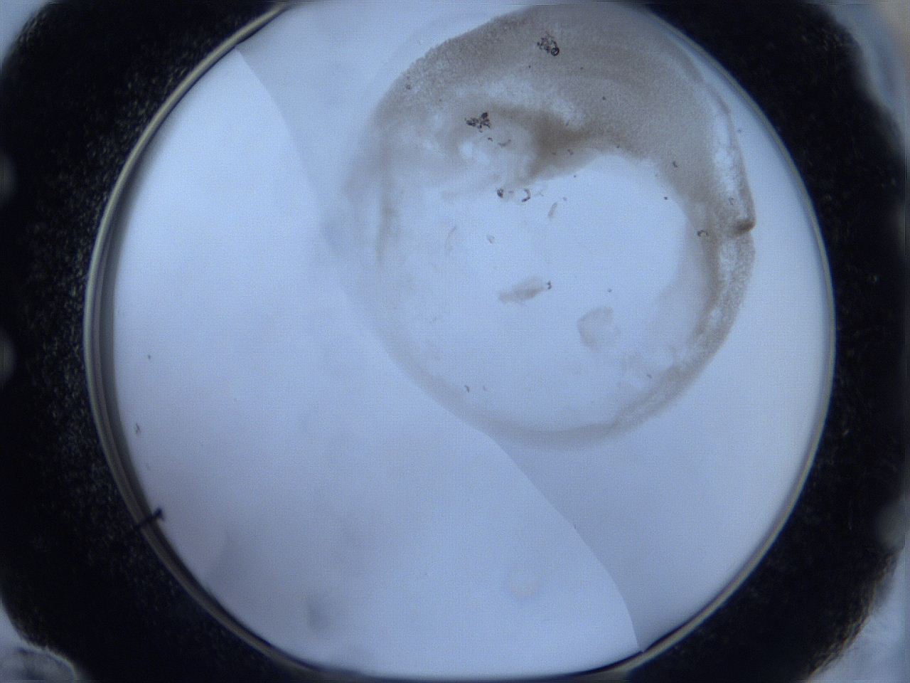 06c4_E12_ImagerDefaults_3.jpg