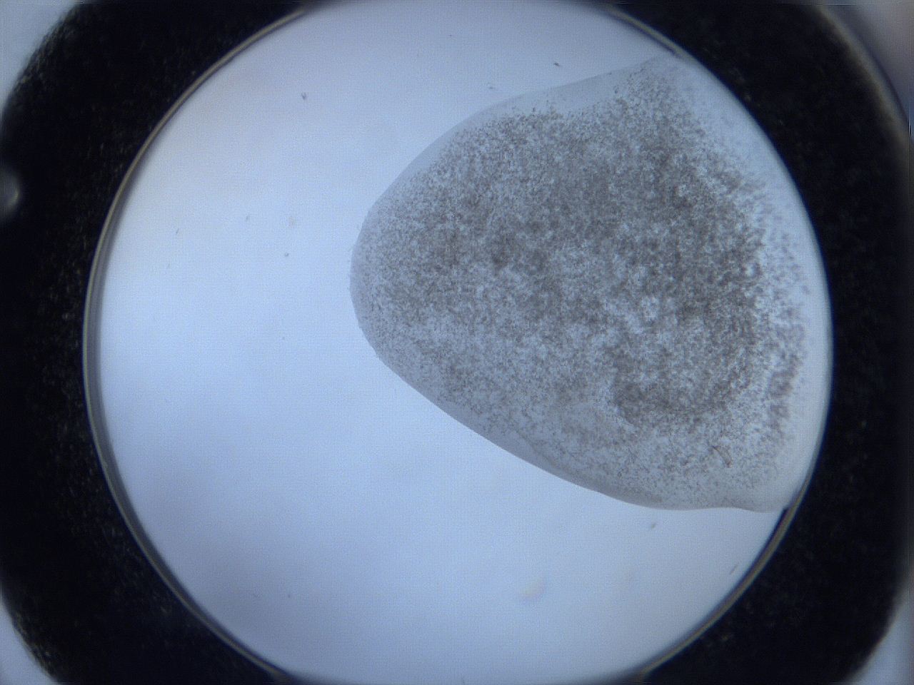 06c4_F2_ImagerDefaults_3.jpg