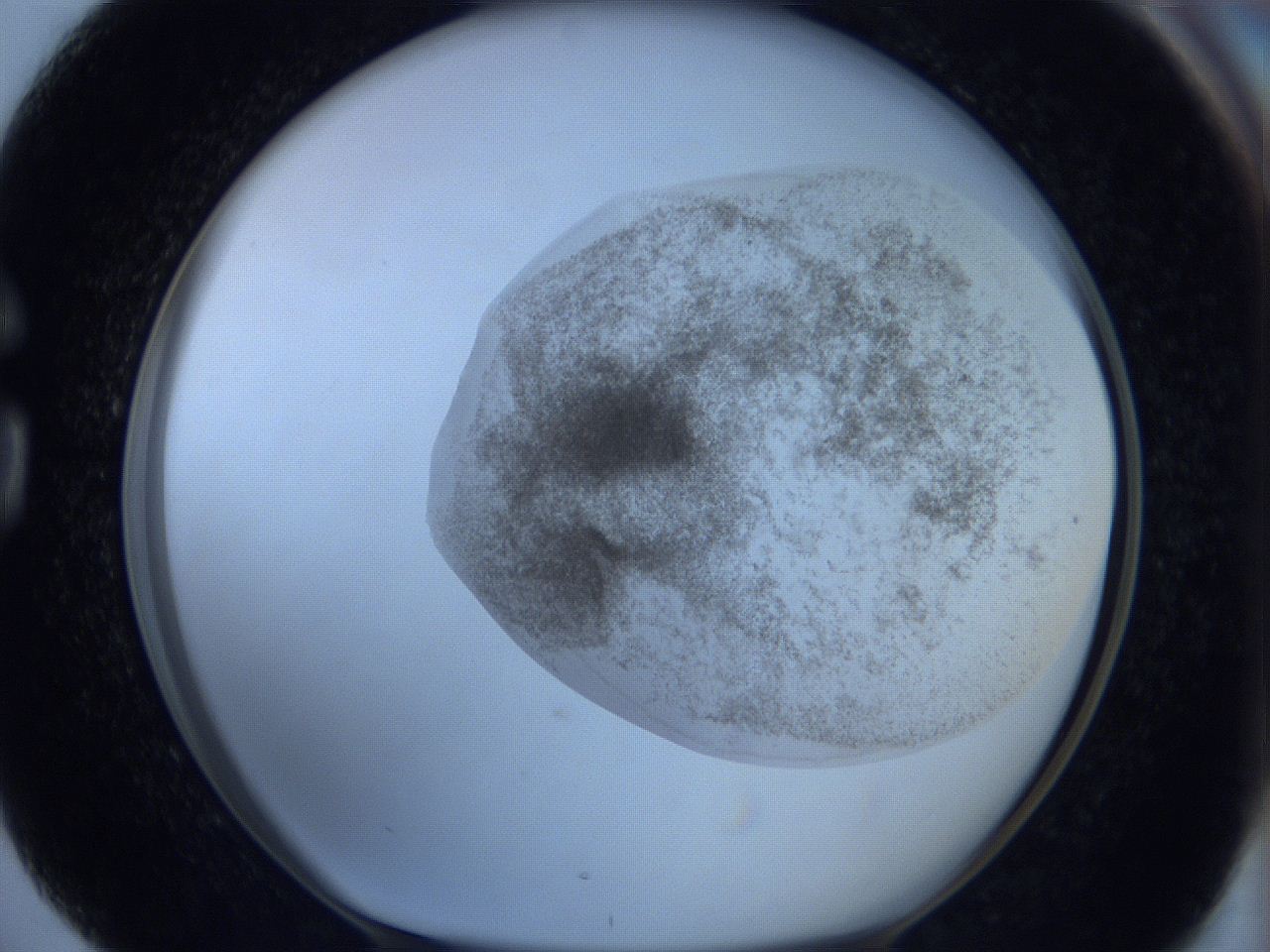 06c4_G4_ImagerDefaults_3.jpg