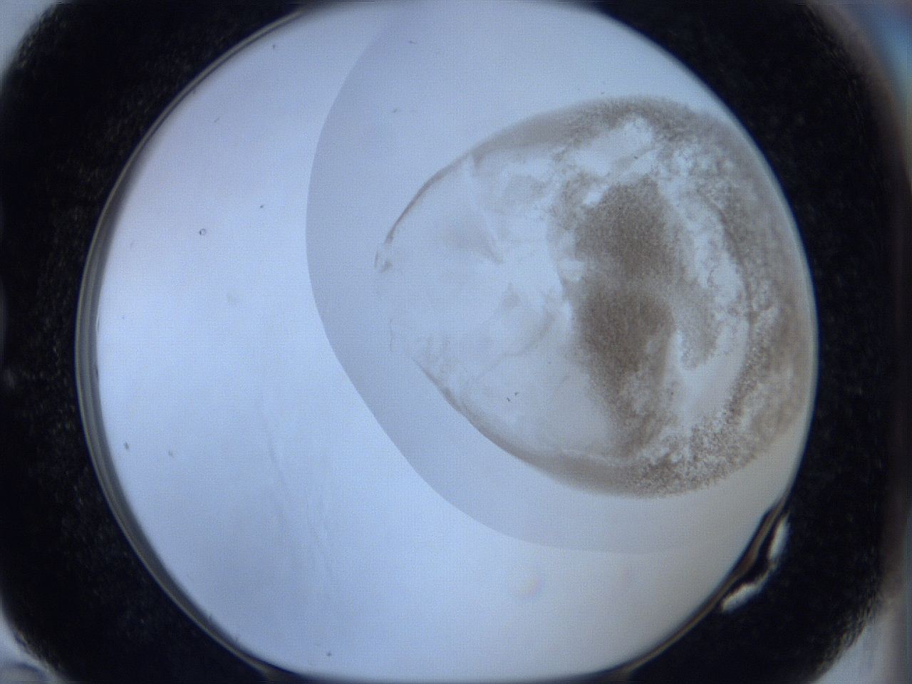 06c4_G10_ImagerDefaults_3.jpg