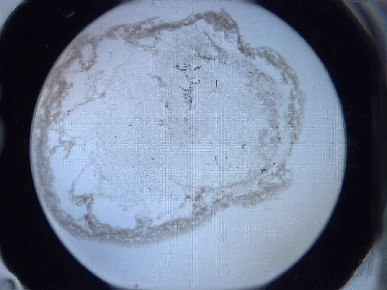 06c4_G11_ImagerDefaults_3.jpg
