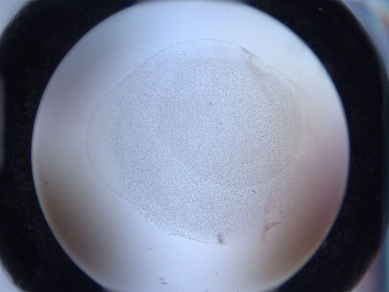 06c4_H8_ImagerDefaults_3.jpg