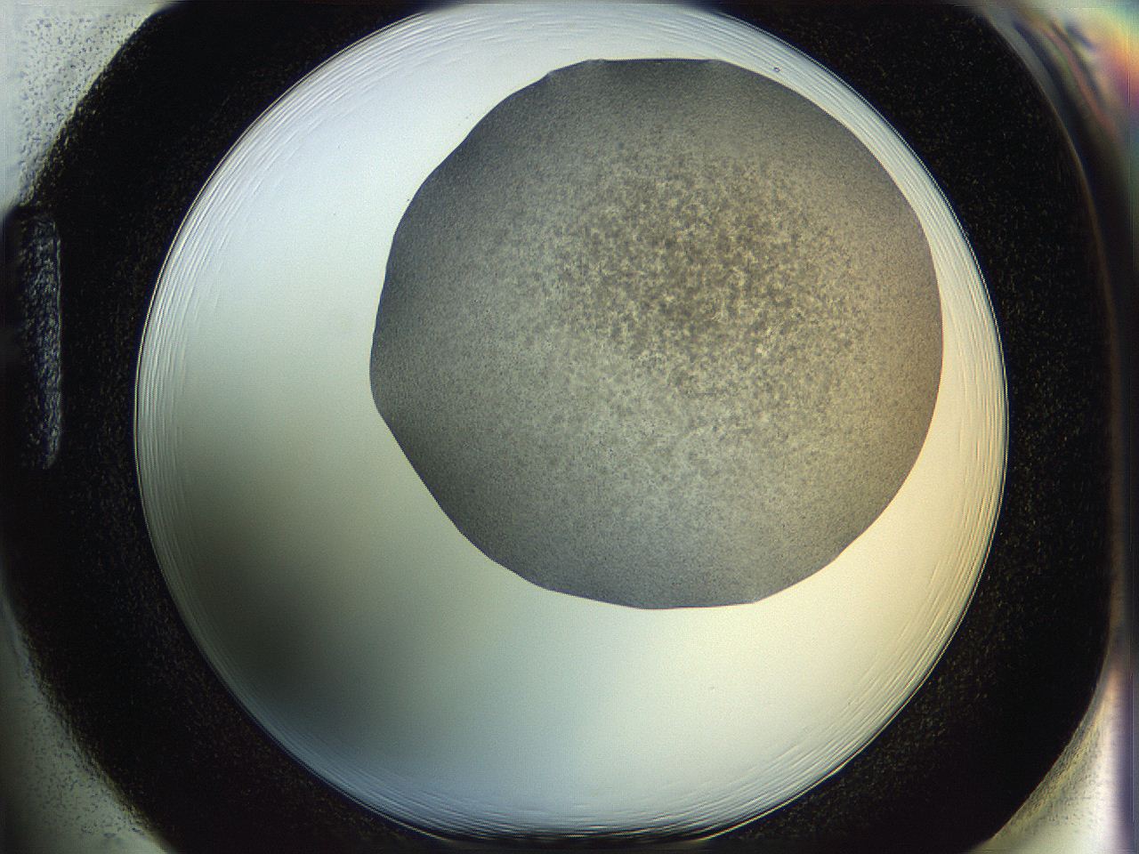 06c7_H1_ImagerDefaults_6.jpg