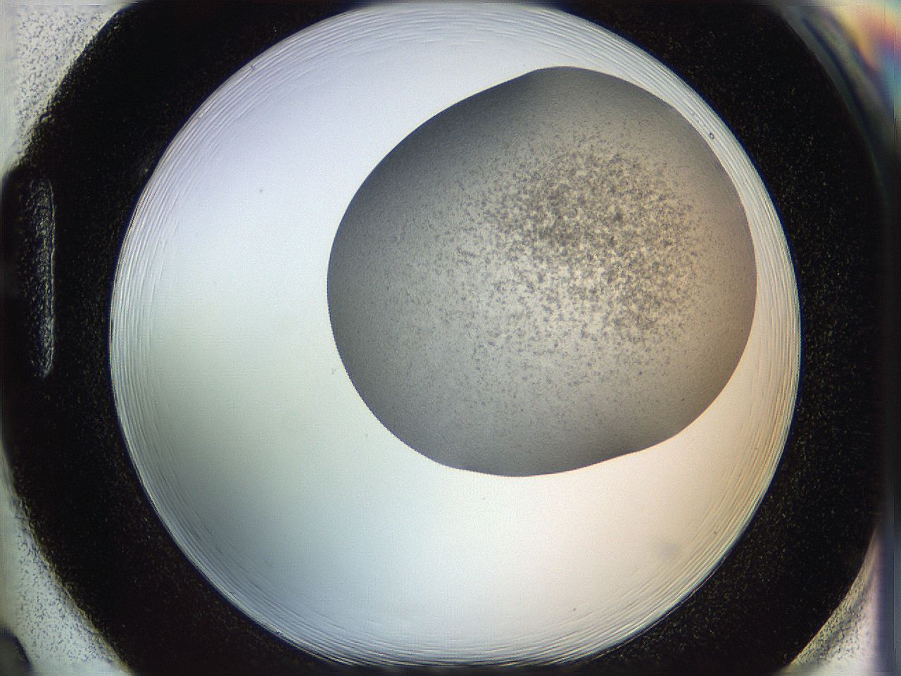 06c7_H2_ImagerDefaults_6.jpg