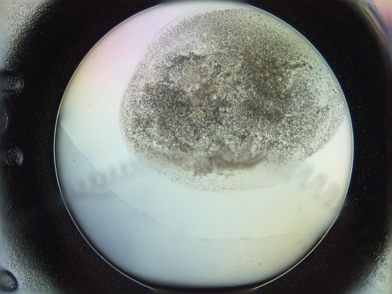 06c8_E6_ImagerDefaults_3.jpg