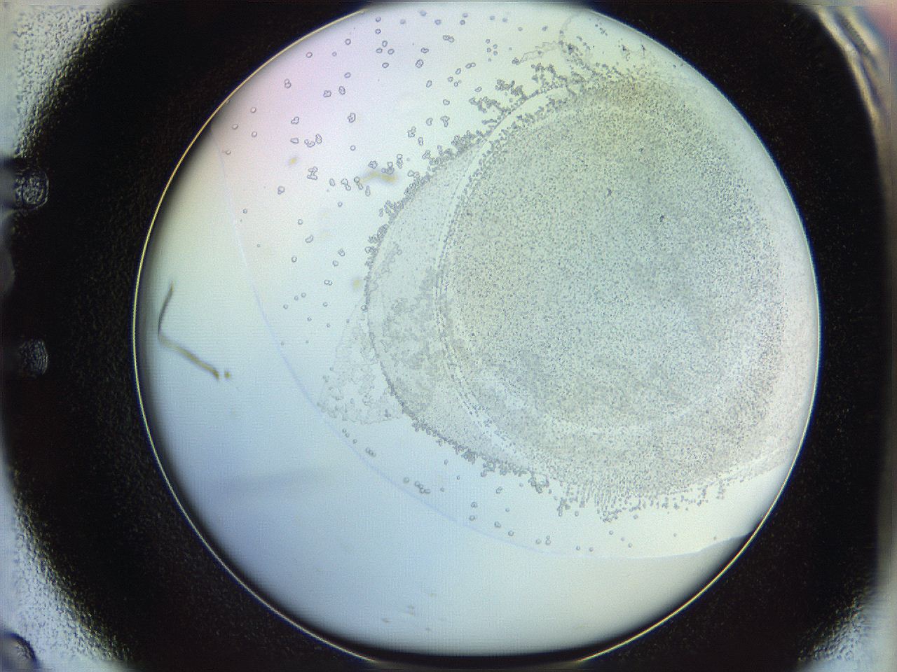 06c8_E9_ImagerDefaults_5.jpg