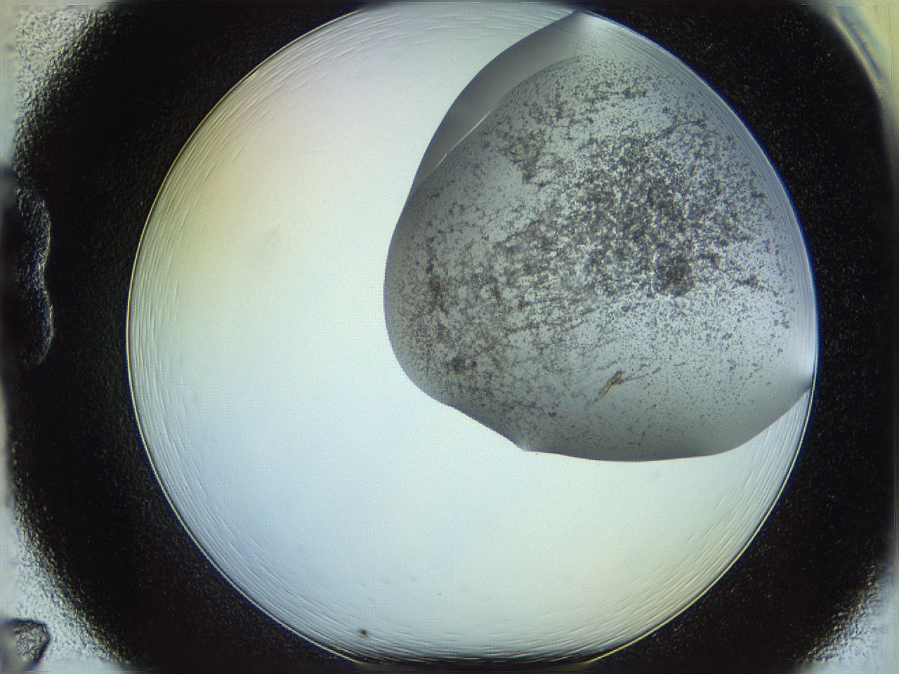06c8_B7_ImagerDefaults_3.jpg