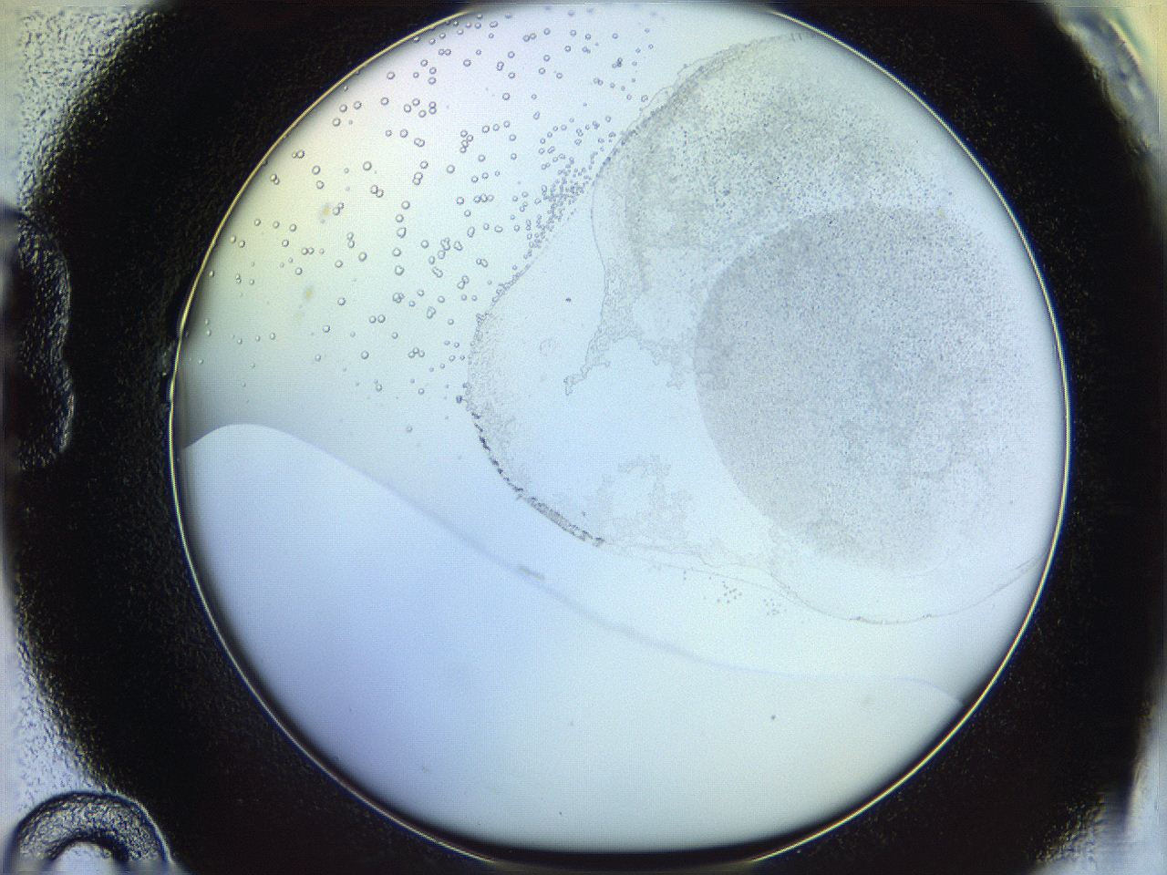 06c8_B10_ImagerDefaults_5.jpg