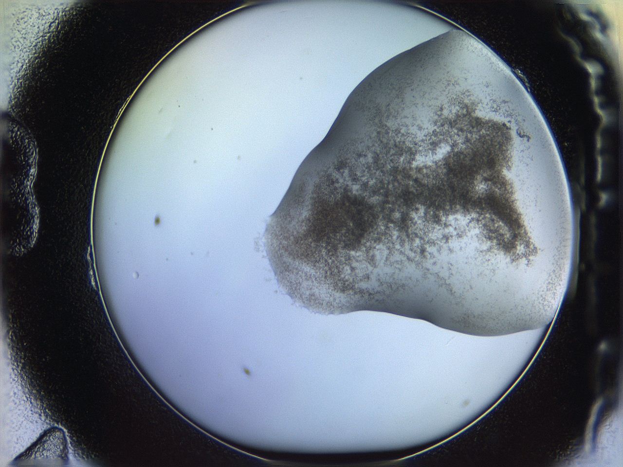 06c8_B11_ImagerDefaults_3.jpg