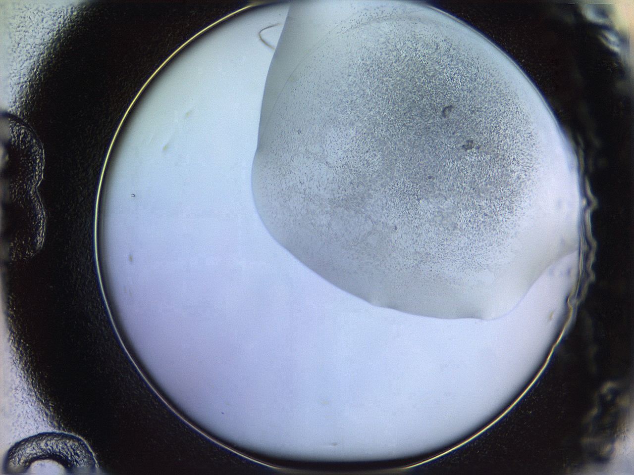 06c8_B12_ImagerDefaults_2.jpg