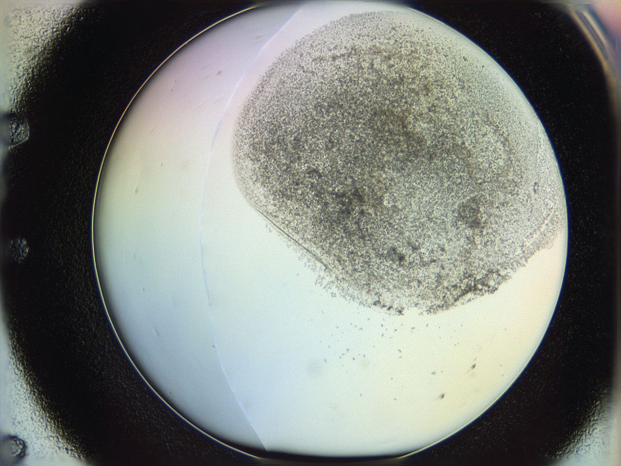 06c8_E7_ImagerDefaults_3.jpg