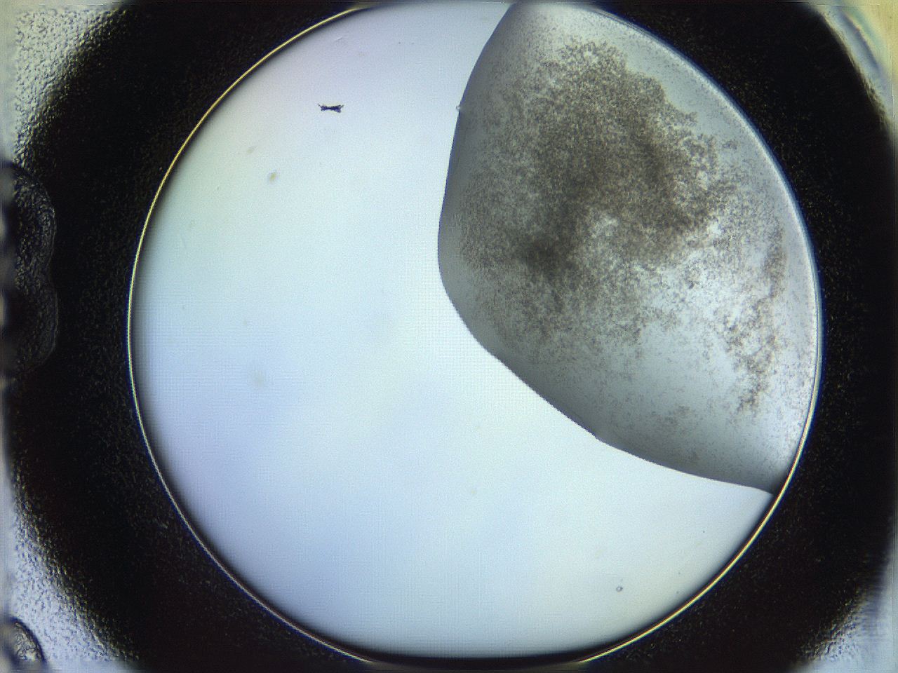 06c8_B9_ImagerDefaults_3.jpg
