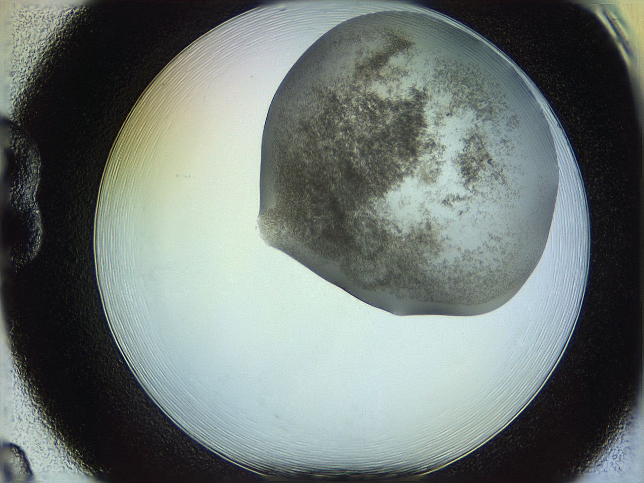 06c8_B8_ImagerDefaults_3.jpg