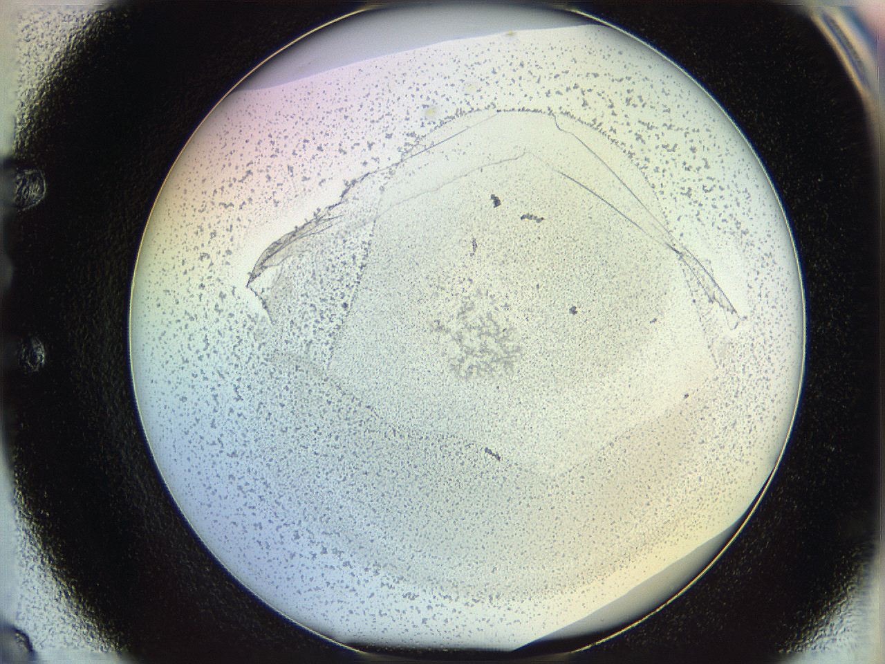 06c8_E8_ImagerDefaults_5.jpg