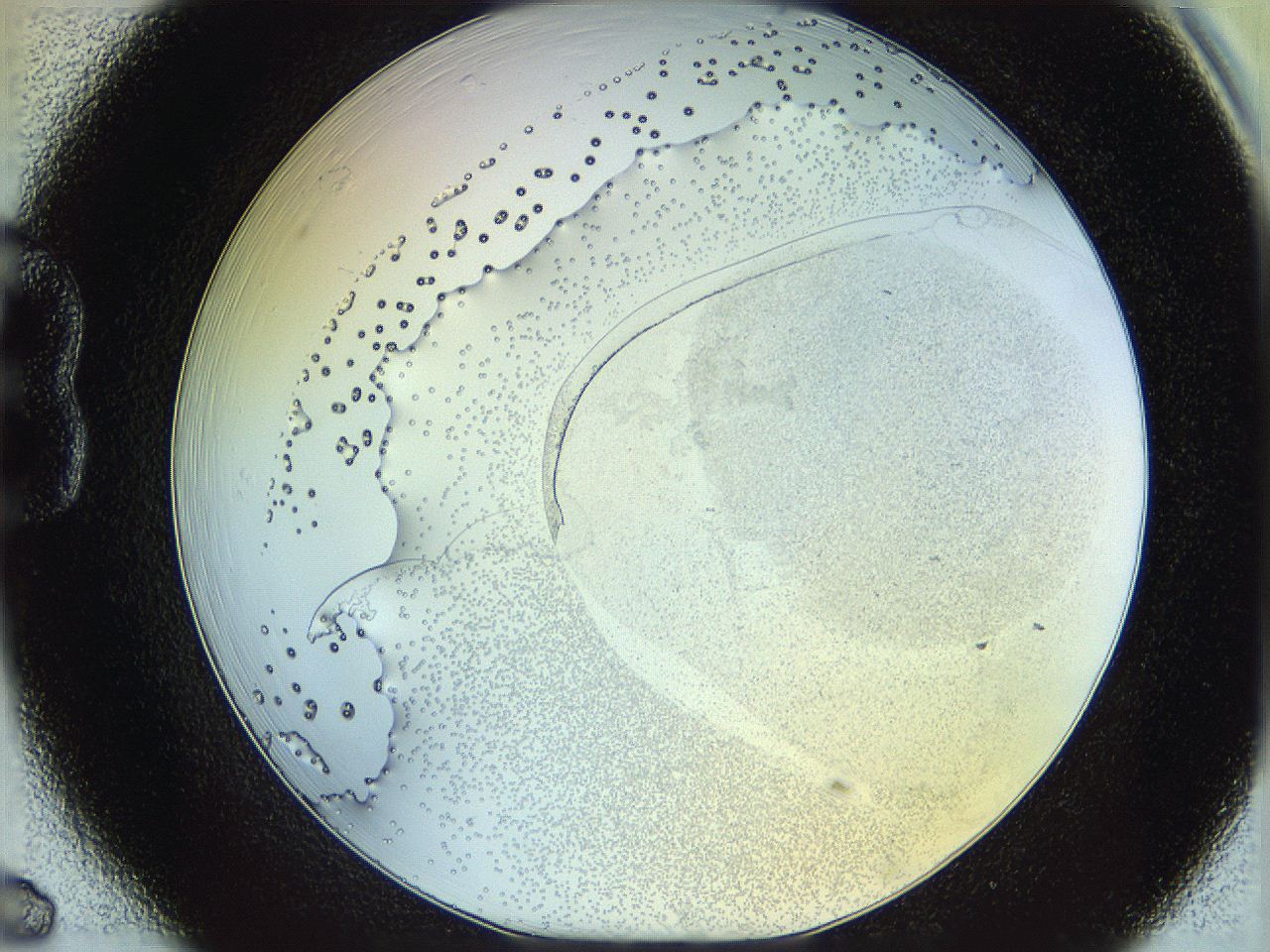 06c8_B6_ImagerDefaults_5.jpg