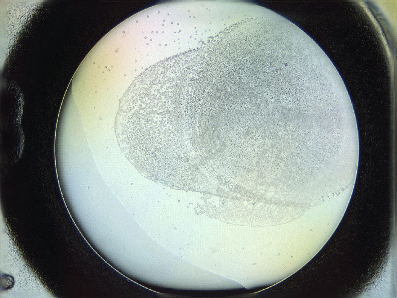 06c8_B5_ImagerDefaults_2.jpg