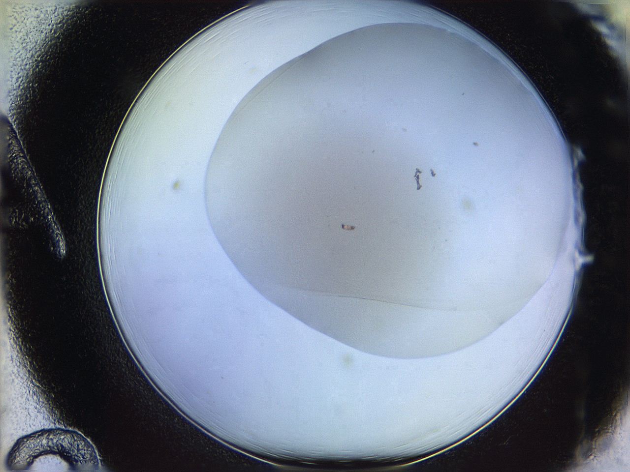 06c8_A12_ImagerDefaults_0.jpg