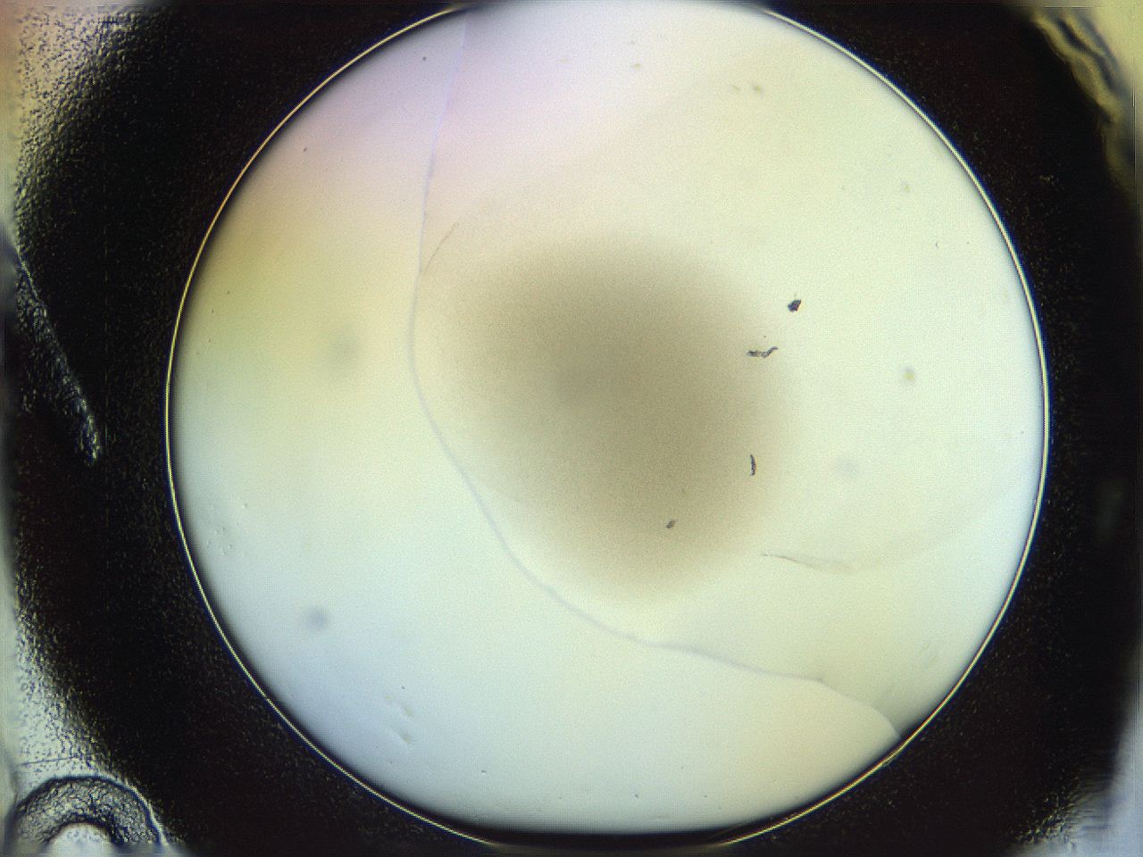 06c8_A10_ImagerDefaults_0.jpg