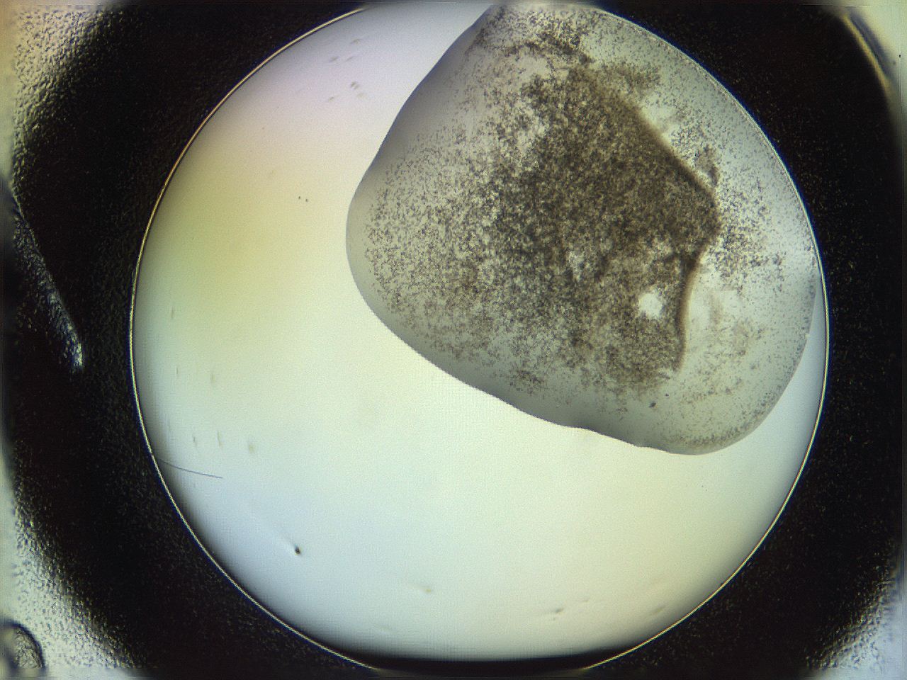 06c8_A8_ImagerDefaults_3.jpg