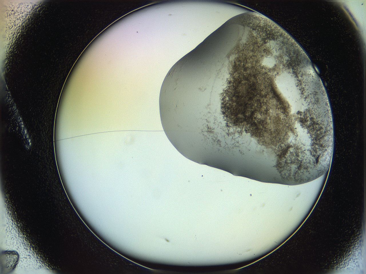 06c8_A7_ImagerDefaults_3.jpg
