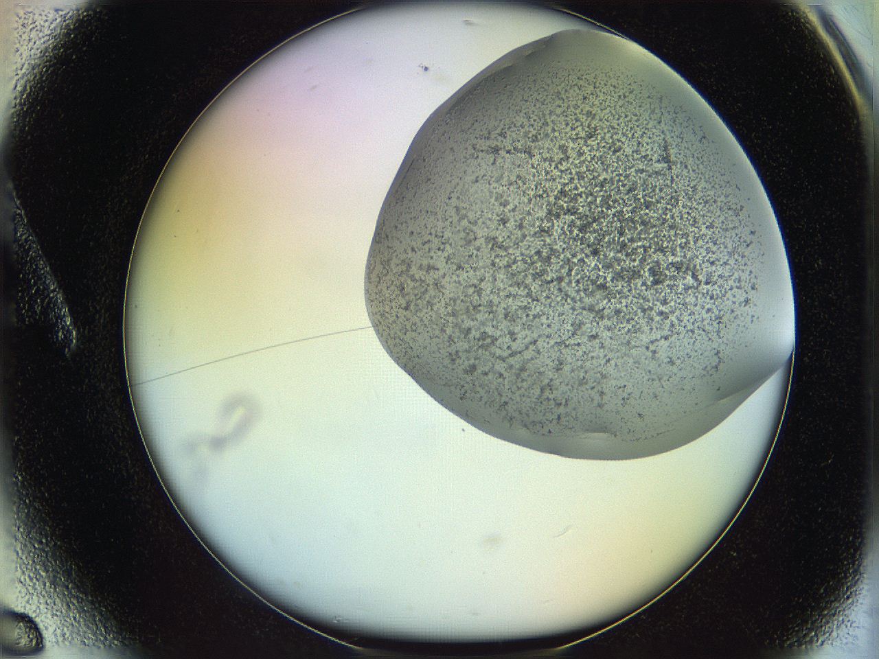 06c8_A6_ImagerDefaults_3.jpg