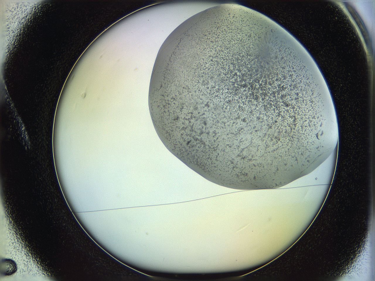 06c8_A5_ImagerDefaults_3.jpg