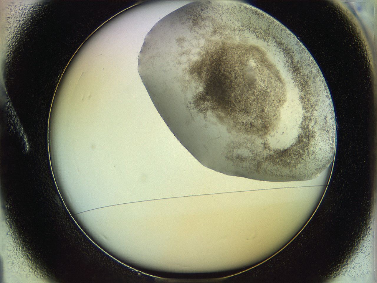 06c8_A1_ImagerDefaults_3.jpg