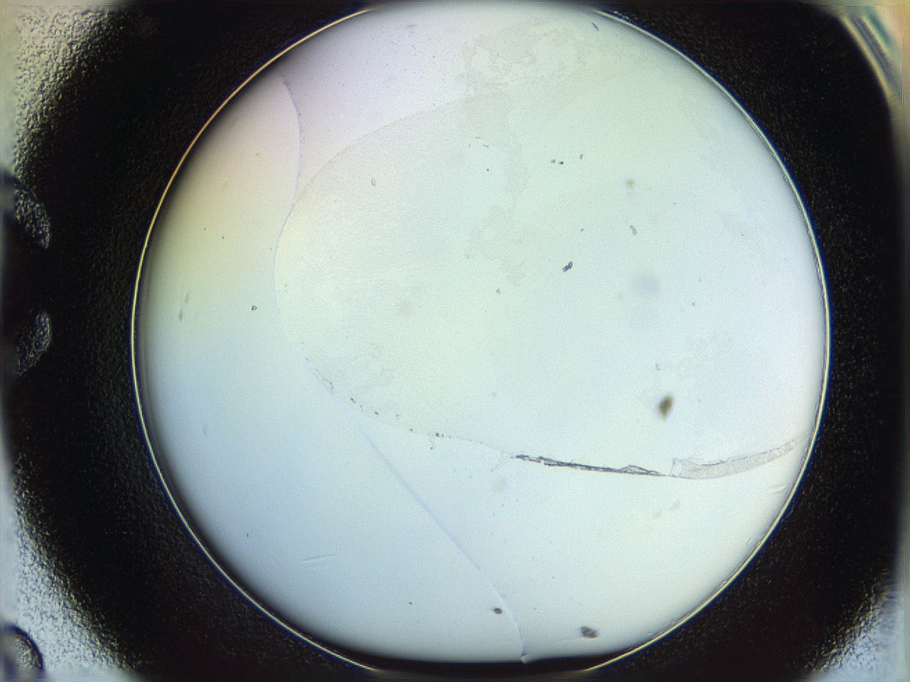 06c8_C8_ImagerDefaults_1.jpg
