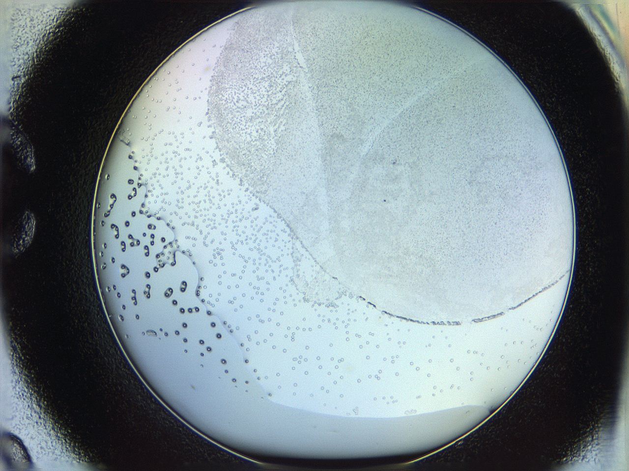 06c8_C9_ImagerDefaults_5.jpg