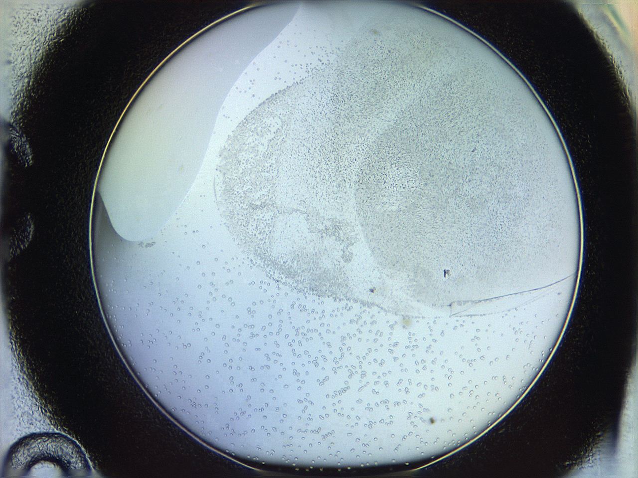 06c8_C10_ImagerDefaults_5.jpg