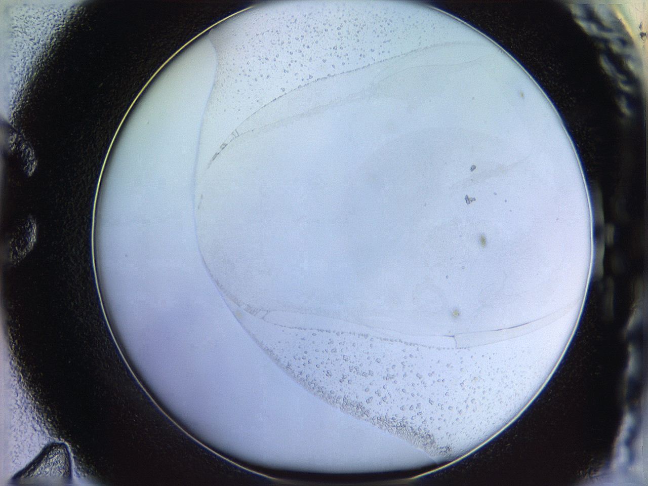 06c8_C11_ImagerDefaults_1.jpg