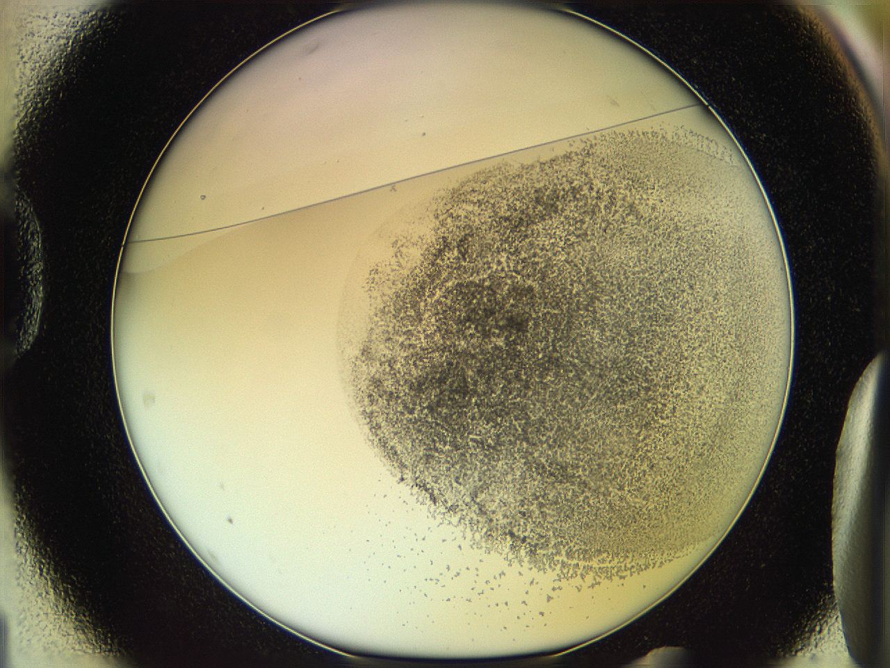 06c8_D1_ImagerDefaults_3.jpg