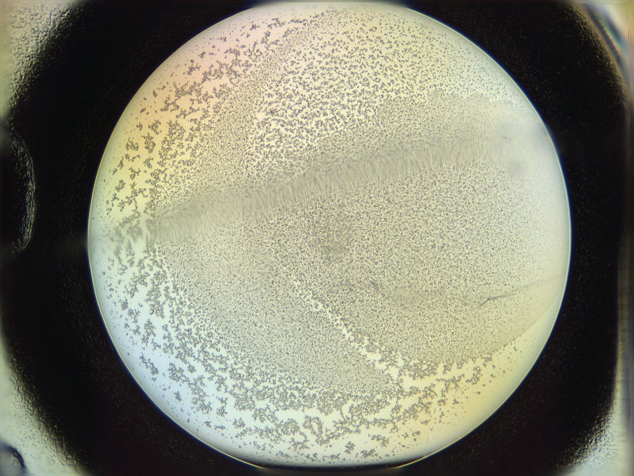 06c8_D2_ImagerDefaults_5.jpg