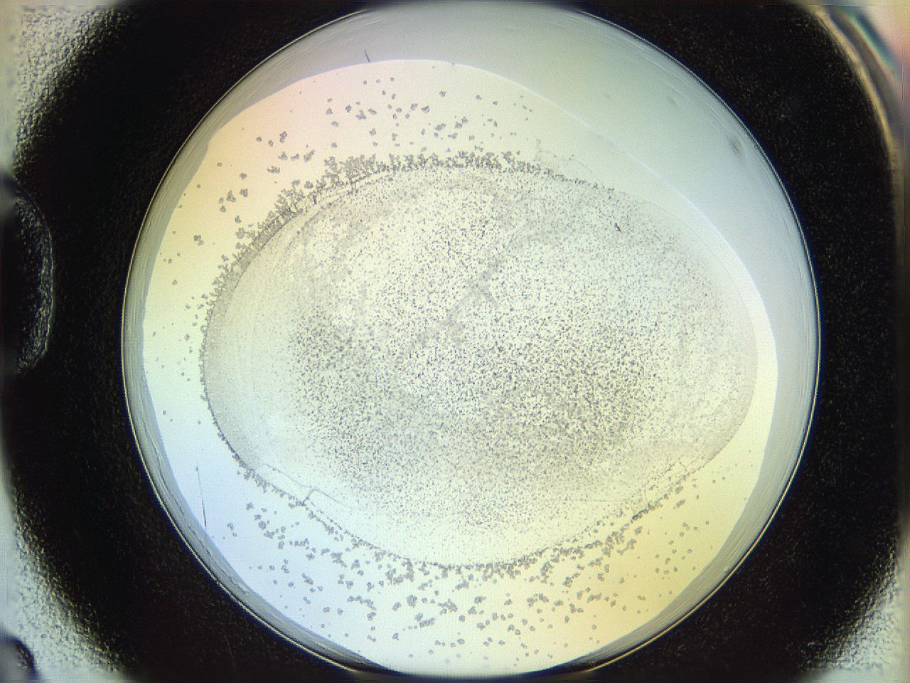 06c8_D3_ImagerDefaults_5.jpg