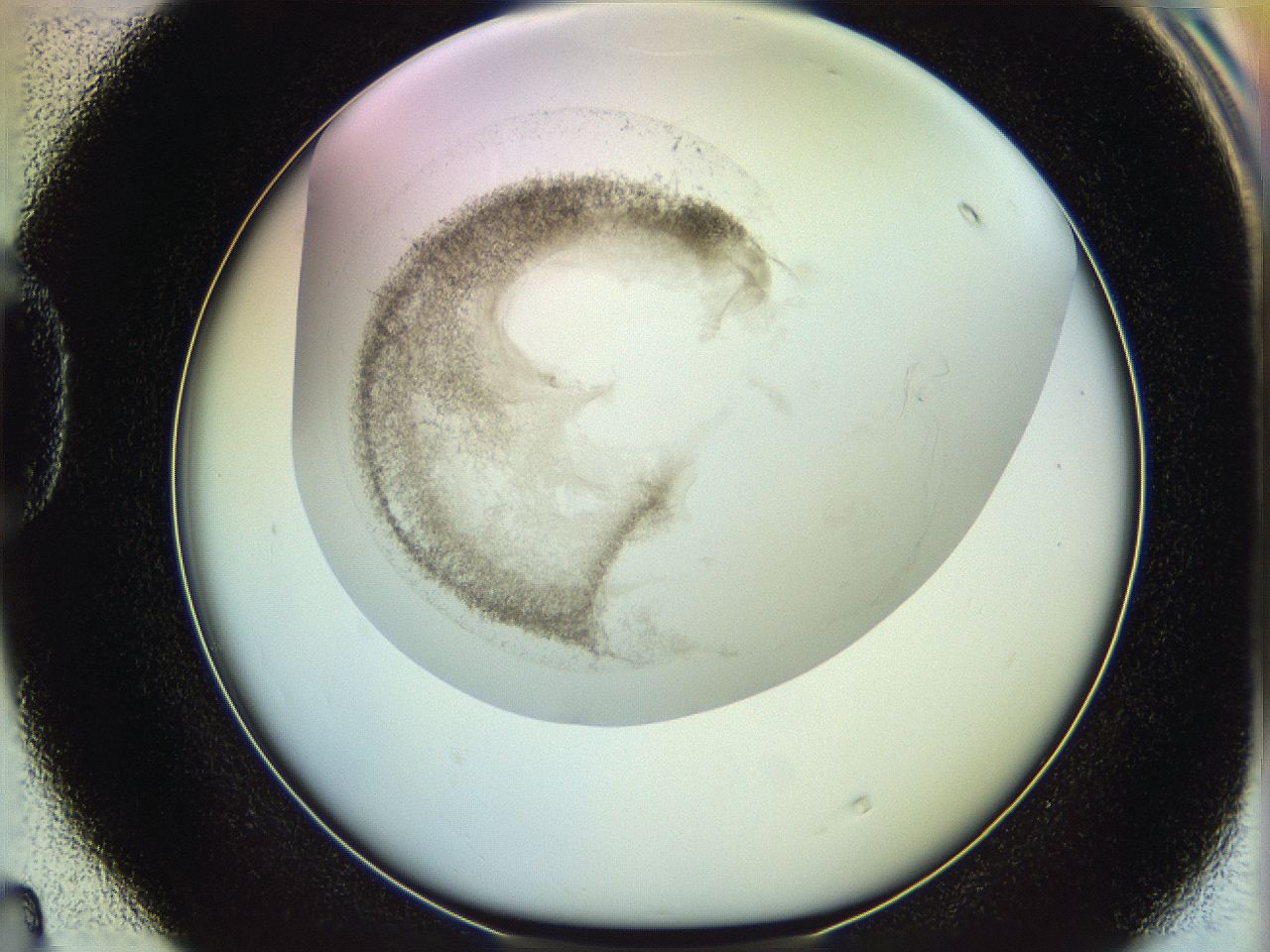 06c8_D4_ImagerDefaults_3.jpg