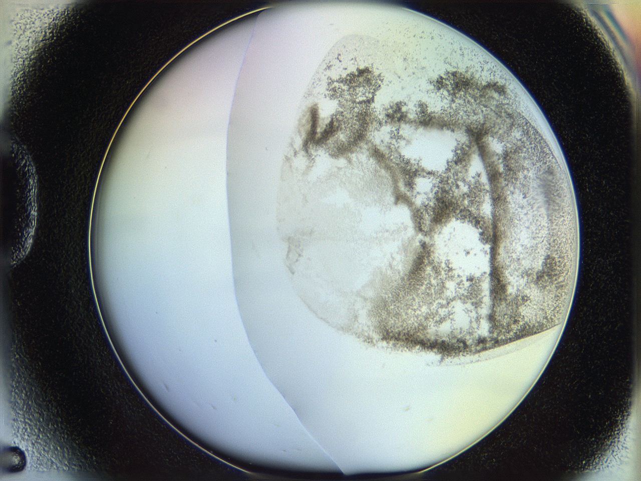 06c8_D5_ImagerDefaults_3.jpg