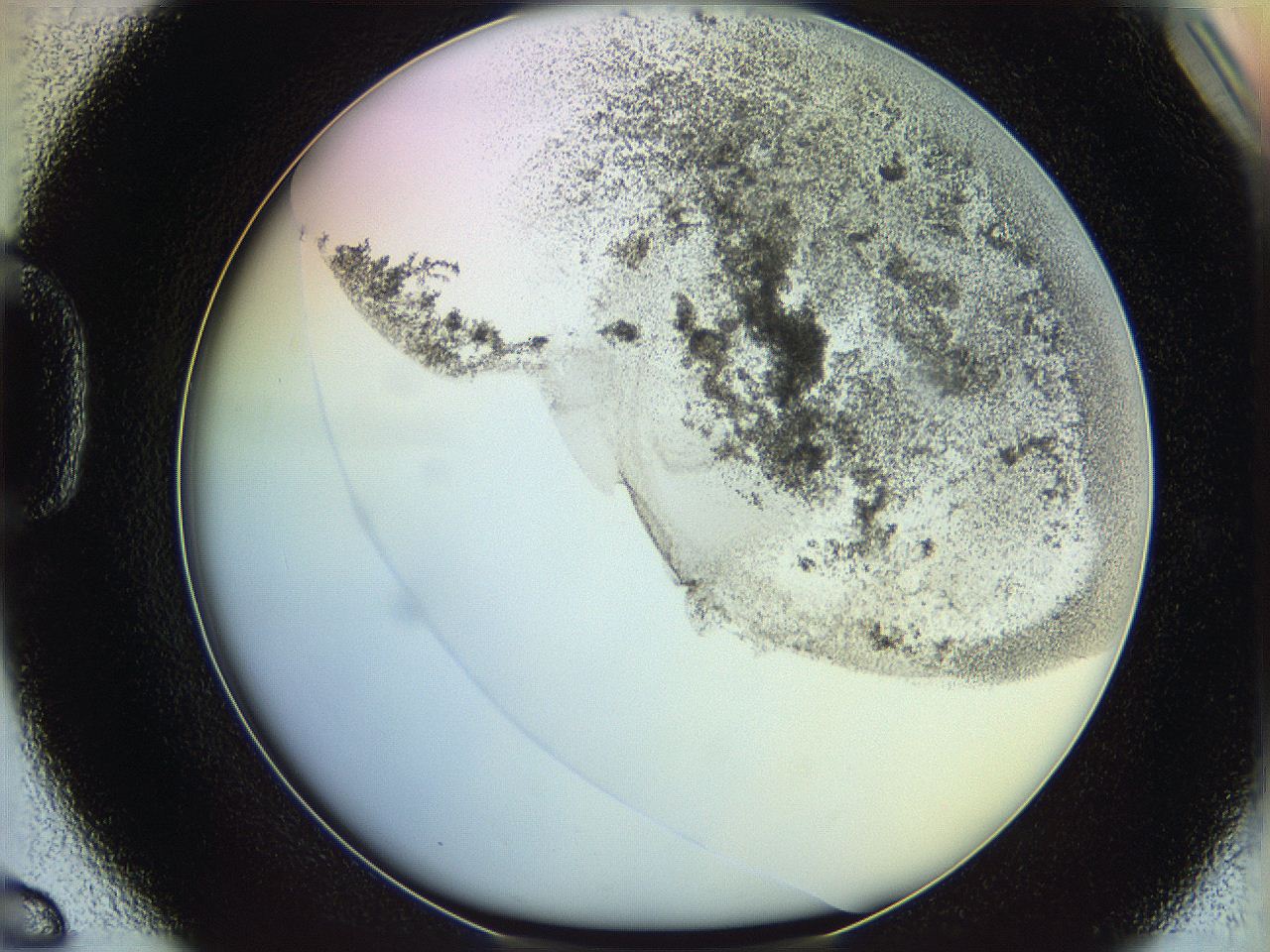 06c8_D6_ImagerDefaults_3.jpg