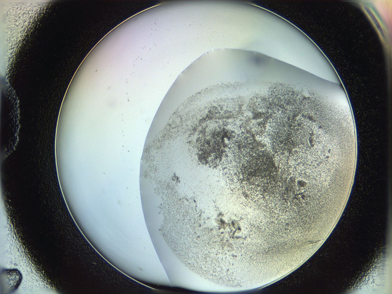 06c8_D7_ImagerDefaults_3.jpg
