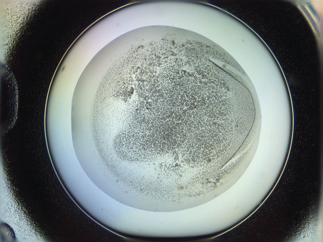 06c8_D8_ImagerDefaults_3.jpg