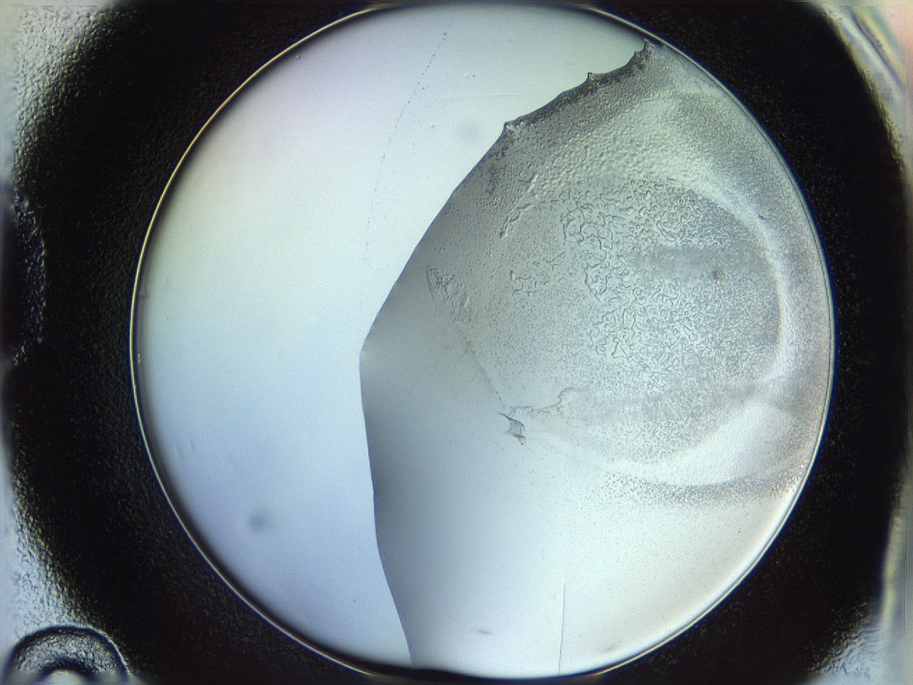 06c8_D10_ImagerDefaults_5.jpg