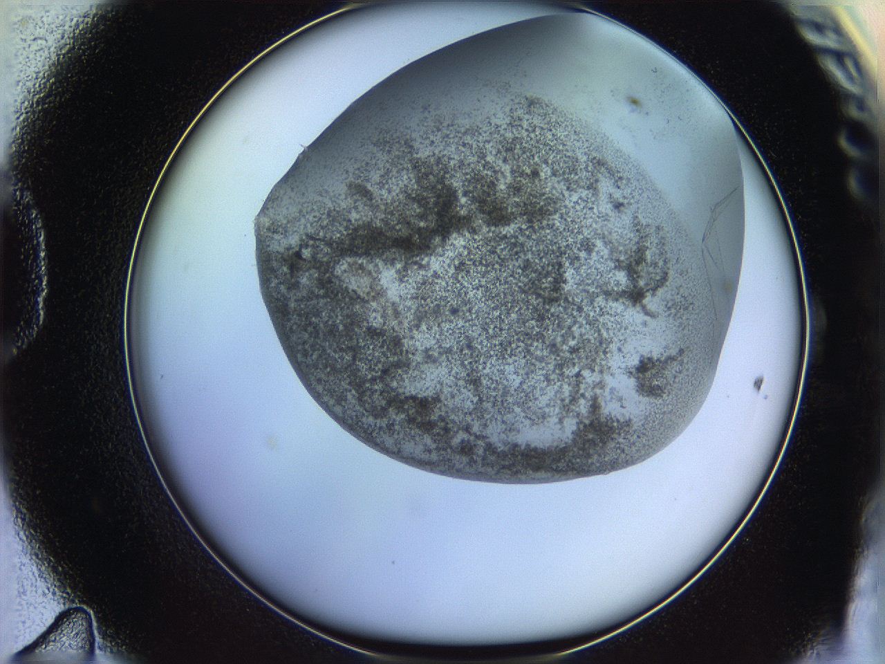 06c8_D11_ImagerDefaults_3.jpg
