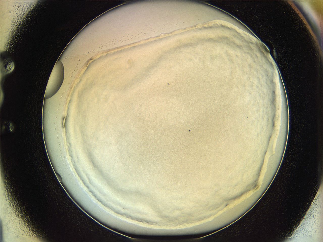 06c8_E1_ImagerDefaults_3.jpg