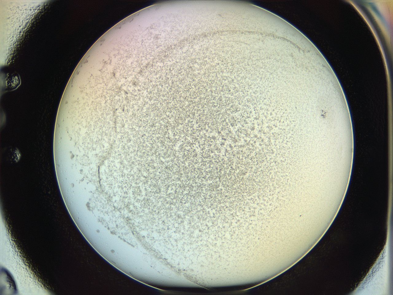 06c8_E2_ImagerDefaults_3.jpg